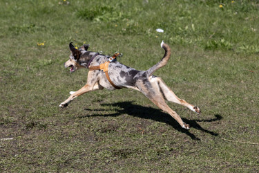 Similar image 22341257