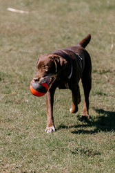 Similar image 22341258