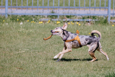 Similar image 22341259