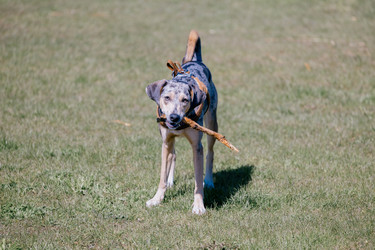 Similar image 22341260