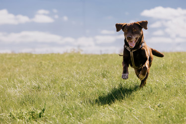 Similar image 22341261