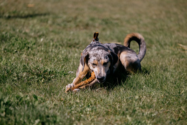 Similar image 22341262