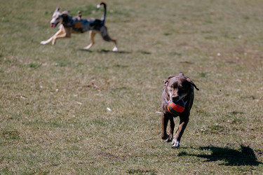 Similar image 22341263