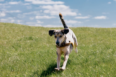 Similar image 22341265