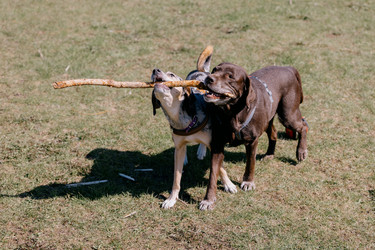 Similar image 22341268