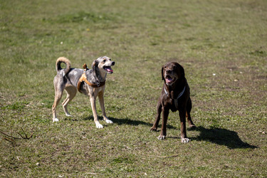 Similar image 22341269