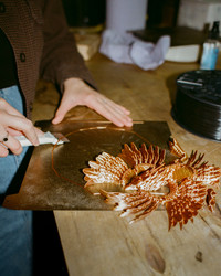 Similar image 22341271