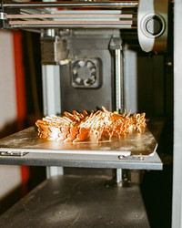 Similar image 22341272