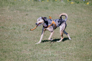 Similar image 22341277