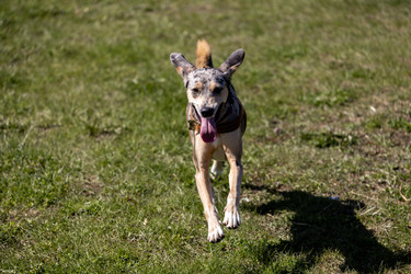 Similar image 22341278