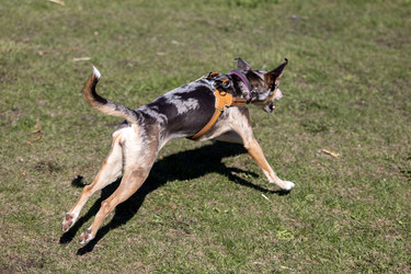 Similar image 22341280