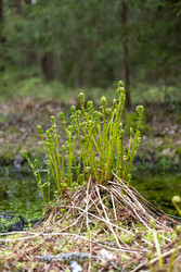 Similar image 22341320