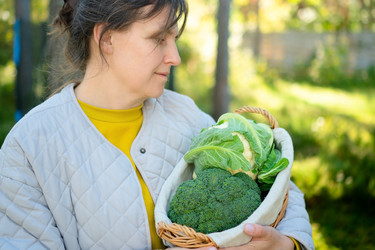 Similar image 22339029