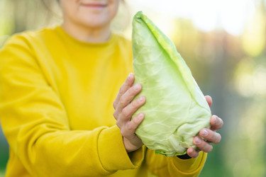 Similar image 22339033