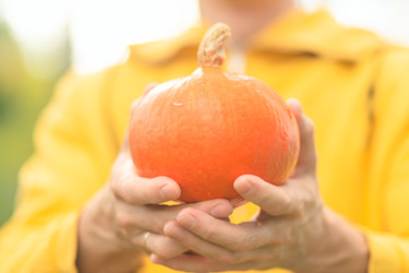 Similar image 22339034