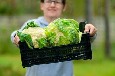 Similar image 22339039