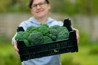 Similar image 22339040