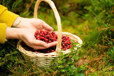 Similar image 22339044