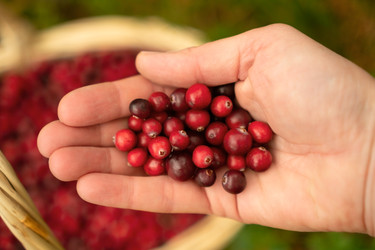 Similar image 22339045