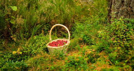 Similar image 22339046