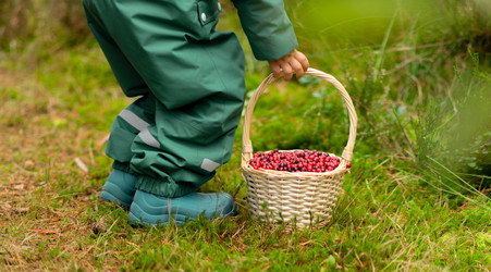 Similar image 22339051