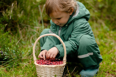 Similar image 22339052