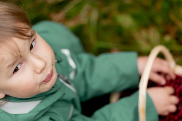 Similar image 22339053