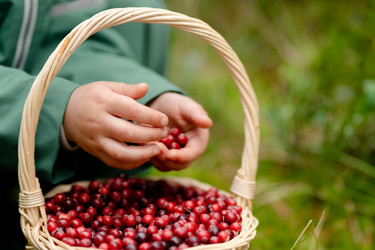 Similar image 22339054