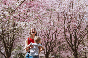 Similar image 22333845