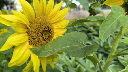 Similar image 22334253