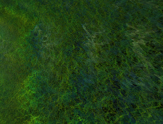 Similar image 22341435