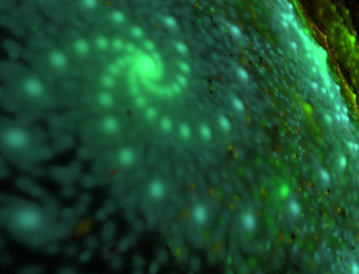 Similar image 22341438