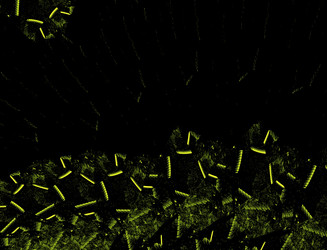 Similar image 22341748