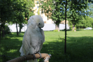 Similar image 22347459