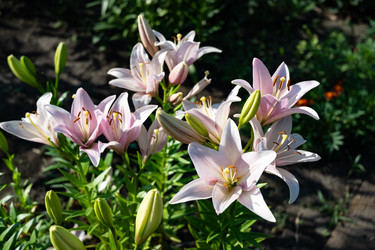 Similar image 22333471