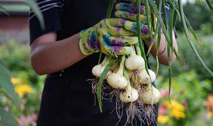 Similar image 22333472