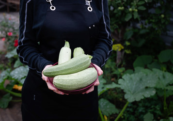 Similar image 22333473