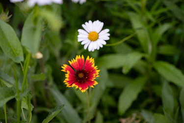 Similar image 22333474