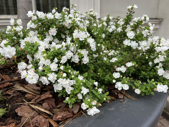 Similar image 22333493