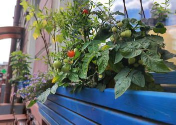 Similar image 22333494