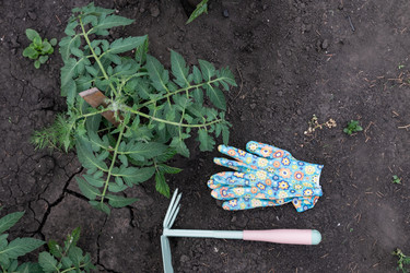 Similar image 22333499