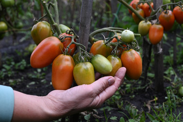 Similar image 22333506