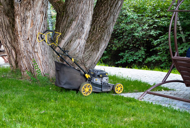 Similar image 22333511