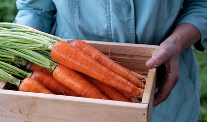 Similar image 22333512