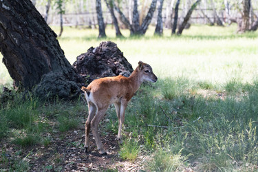 Similar image 22333513