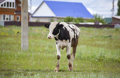 Similar image 22347252