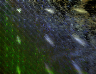 Similar image 22341892