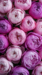 Similar image 22338329