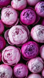 Similar image 22333519