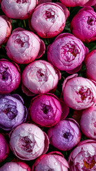 Similar image 22333520